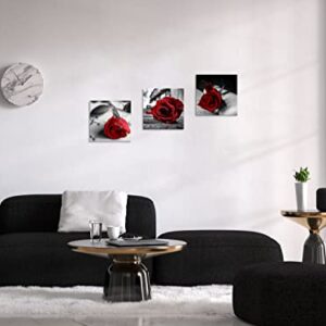 NAN Wind Canvas Print 3 Pcs Black and White Red Rose Canvas Art Painting Abstract Wall Art Decorations Flower Picture on Canvas for Home Decor Stretched and Framed