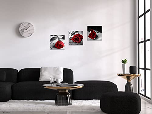 NAN Wind Canvas Print 3 Pcs Black and White Red Rose Canvas Art Painting Abstract Wall Art Decorations Flower Picture on Canvas for Home Decor Stretched and Framed