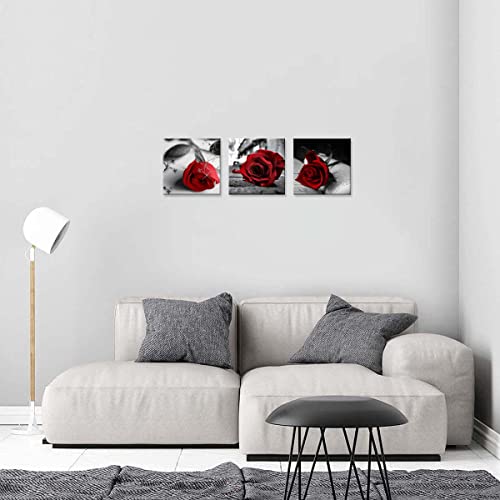 NAN Wind Canvas Print 3 Pcs Black and White Red Rose Canvas Art Painting Abstract Wall Art Decorations Flower Picture on Canvas for Home Decor Stretched and Framed