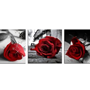 NAN Wind Canvas Print 3 Pcs Black and White Red Rose Canvas Art Painting Abstract Wall Art Decorations Flower Picture on Canvas for Home Decor Stretched and Framed