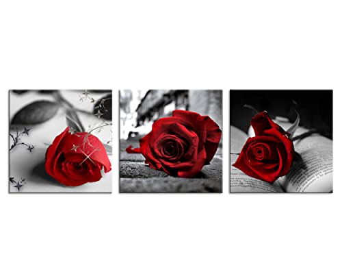 NAN Wind Canvas Print 3 Pcs Black and White Red Rose Canvas Art Painting Abstract Wall Art Decorations Flower Picture on Canvas for Home Decor Stretched and Framed