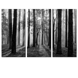 visual art decor 3 pieces black and white sunshine foggy forest trees canvas prints living room home wall decoration