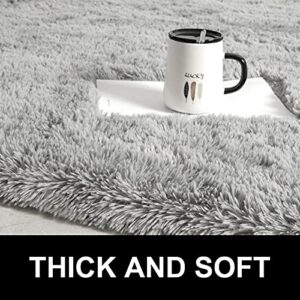 LOCHAS Fluffy Carpet Soft Gray Bedroom Rug Throw Carpets Modern Shaggy Area Rugs for Bedroom Bedside Girls Kids Children Home Decor 2.6' x 5.3'