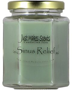 sinus relief scented blended soy candle by just makes scents (8 oz)