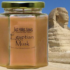 Egyptian Musk Scented Blended Soy Candles by Just Makes Scents (8 oz) …