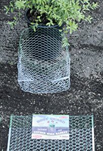 12 Qty Rodent/Gopher Root Guard 5 Gallon Size Baskets