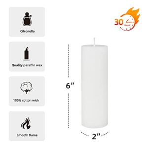 Zest Candle Pillar Candles, 2 by 6-Inch, White Citronella