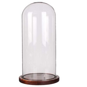 Moonlear Glass Dome Cloche Tabletop Display Case Bell Jar 4.7" x H 11" (Coffee wood base)