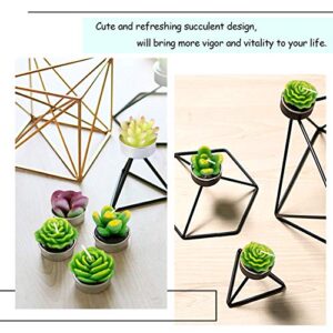 Swpeet 12Pcs Decorative Succulent Cactus Tealight Candles Kit, Cute Smokeless Succulent Plants Perfect for Candles Festival Wedding Props and House-Warming Party (N0.5-Candle)