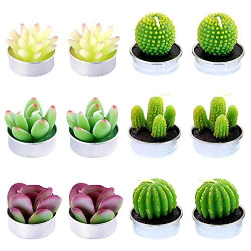 Swpeet 12Pcs Decorative Succulent Cactus Tealight Candles Kit, Cute Smokeless Succulent Plants Perfect for Candles Festival Wedding Props and House-Warming Party (N0.7-Candle)