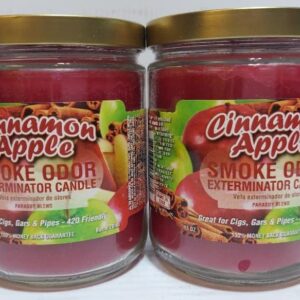 Smoke Odor Exterminator 13oz Jar Candle, Cinnamon Apple - Pack of 2