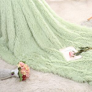 Plush Super Soft Blanket Bedding Sofa Cover Furry Fuzzy Fur Warm Throw Qulit Cozy Couch Blanket for Winter (63"x79", Green)