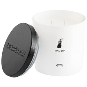 archipelago botanicals malibu luxe candle | sea grass, fig and lily | coconut wax blend and double wicks | burns approx. 100 hours (13 oz)