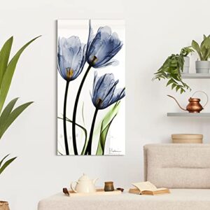 empire art direct frameless free floating tempered glass panel graphic wall art ready to hang, 24″ x 48″, three blue tulips