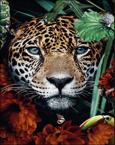 Animal Prints Wall Art Decor for Living Room, Safari Pictures Wall Decor for Bathroom, Safari Posters for Wall with Lion, Leopard,Elephant,Gorilla (8"x10" Unframed)