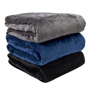 Fleece Throw Blanket Twin Size Fuzzy Lightweight Warm Soft Plush Blanket for Couch, Bed, Chair | Cozy Microfiber Reversible 50x60 Sherpa Throw Blanket for Kids, Adults, Pets (Charcoal Grey)