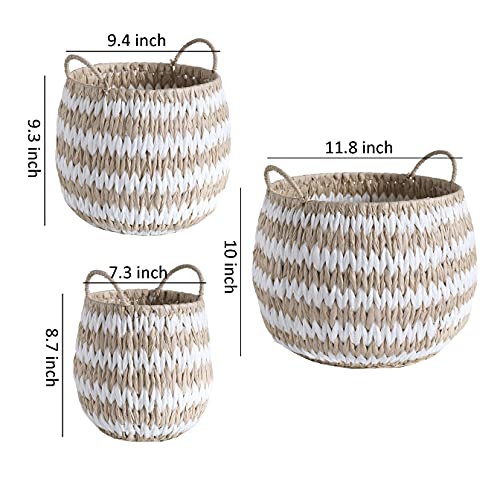 Motifeur Water Hyacinth and Paper Handwoven Basket (Assorted Set of 3, Beige and White)