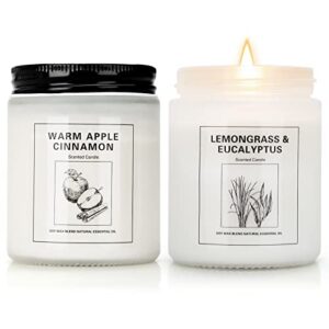 candles, apple cinnamon and lemongrass eucalyptus candles for home scented, 2 pack candles gifts for women, 15 oz soy candle, scented candles gifts set for mother’s day, valentine, christma’s gifts…
