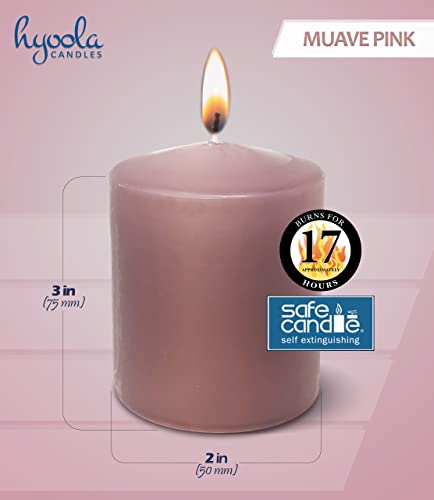 Hyoola Mauve Pink Pillar Candles 2x3 Inch - 4 Pack Unscented Pillar Candles Bulk - European Made