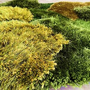 lzteck Patchwork,Abstract,Geometric Shag, Artificial Grass Area Rug, Fake Grass Moss Tundra Rugs, Fluffy Kids Toddles Carpets, Living Room,Nursery Mats,Balcony,Patio Rugs 2.6x3.9ft