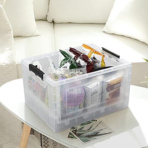 Idomy 30 L Plastic Collapsible Storage Box, Folding Storage Box, Clear, 2-Pack