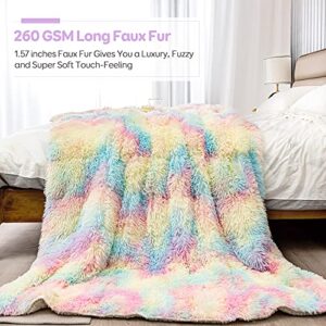 Cottonblue Weighted Blanket 15lbs Queen Size, Soft Faux Fur Sherpa Blanket, Reversible Fluffy Fleece Reverse Blankets, Warm and Cozy Rainbow Throw Decorative for Bedroom Sofa Floor, 60"x80"