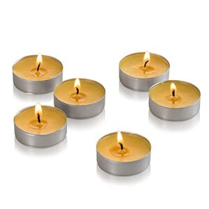 PARNOO Bulk Pack - 60 Pack Citronella Tealight Candles - Summer Yellow - Indoor Outdoor, YC-TL60