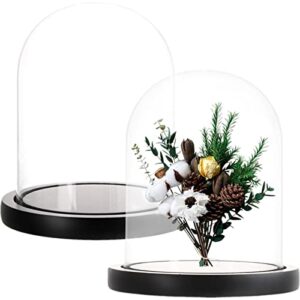 zoofox set of 2 glass dome cloche with black wooden base, 6″ x 7″ decorative bell jar display dome for plants, fairy lights, photos, succulents and medals
