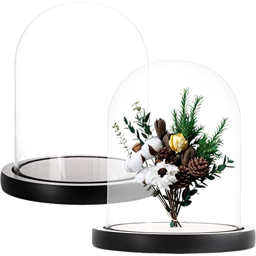 ZOOFOX Set of 2 Glass Dome Cloche with Black Wooden Base, 6" x 7" Decorative Bell Jar Display Dome for Plants, Fairy Lights, Photos, Succulents and Medals