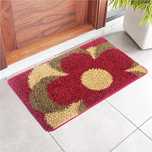 Heeneeso F21 Entryway Rug Welcome Mat Front Door Mats for Inside Entry Indoor Door Mat Machine Washable Non Slip for Doorway/Kitchen/Bathroom/Laundry Room