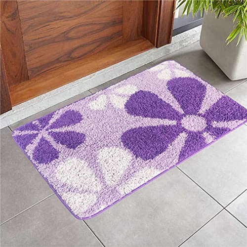 Heeneeso F24 Entryway Rug Welcome Mat Front Door Mats for Inside Entry Indoor Door Mat Machine Washable Non Slip for Doorway/Kitchen/Bathroom/Laundry Room