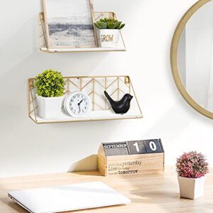 ROSE BLOOM Floating Shelves Wall Mounted Set of 2, Wood Storage Shelf with Metal Wire Basket for Bedroom, Living Room, Bathroom, Kitchen, Office, Arrow Design