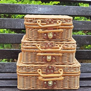 yidexin Seagrass Baskets Wicker, Artificial Rattan Storage Box, Rattan Suitcase Woven Artificial Wooden Leather Look Strap, Lock Organizer Storage, 29.52112 CM