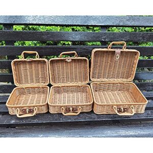 yidexin Seagrass Baskets Wicker, Artificial Rattan Storage Box, Rattan Suitcase Woven Artificial Wooden Leather Look Strap, Lock Organizer Storage, 29.52112 CM