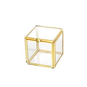 Feyarl Tiny Clear Glass Jewelry Trinket Box Ornate Rings Earrings Shadow Box Treasure Chest Organizer Decorative Keepsake Case with Lid for Wedding Birthday Gift (Gold)