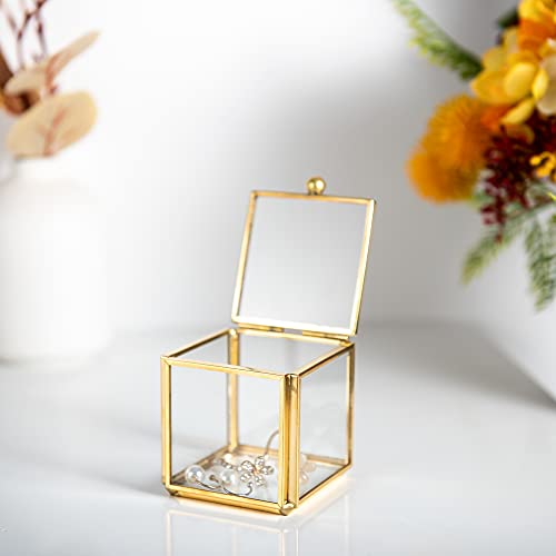 Feyarl Tiny Clear Glass Jewelry Trinket Box Ornate Rings Earrings Shadow Box Treasure Chest Organizer Decorative Keepsake Case with Lid for Wedding Birthday Gift (Gold)