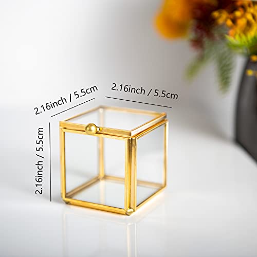 Feyarl Tiny Clear Glass Jewelry Trinket Box Ornate Rings Earrings Shadow Box Treasure Chest Organizer Decorative Keepsake Case with Lid for Wedding Birthday Gift (Gold)