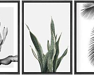 SIGNWIN Framed Canvas Print Wall Art Trio of Jungle Palms & Snake Succulents Floral Plants Photography Modern Art Minimalist Black and White for Living Room, Bedroom, Office - 16"x24"x3 Black