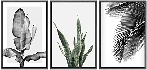 SIGNWIN Framed Canvas Print Wall Art Trio of Jungle Palms & Snake Succulents Floral Plants Photography Modern Art Minimalist Black and White for Living Room, Bedroom, Office - 16"x24"x3 Black