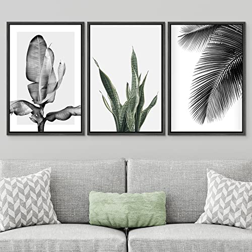 SIGNWIN Framed Canvas Print Wall Art Trio of Jungle Palms & Snake Succulents Floral Plants Photography Modern Art Minimalist Black and White for Living Room, Bedroom, Office - 16"x24"x3 Black