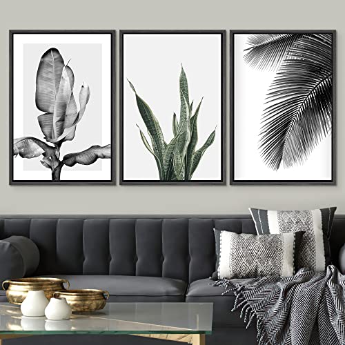 SIGNWIN Framed Canvas Print Wall Art Trio of Jungle Palms & Snake Succulents Floral Plants Photography Modern Art Minimalist Black and White for Living Room, Bedroom, Office - 16"x24"x3 Black