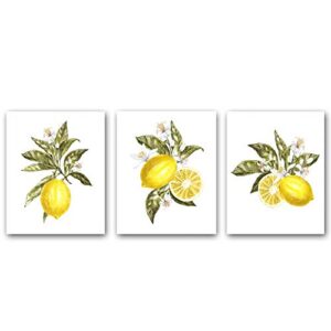 CRPBKU Cool Lemon Fruit Art Print -Yellow Orange Pear Lemon Botanical Canvas Wall Art -Green leaf Sour lemon Poster Perfect for Dining Room Kitchen Decoration,3 Set- (Unframed,8"X10")
