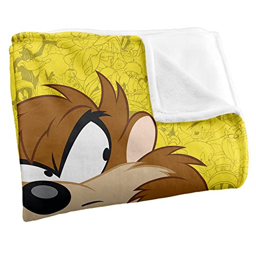 Looney Tunes Blanket, 50"x60", Taz Character Silky Touch Super Soft Throw