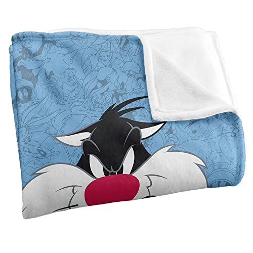 Looney Tunes Blanket, 50"x60", Sylvester Character Silky Touch Super Soft Throw