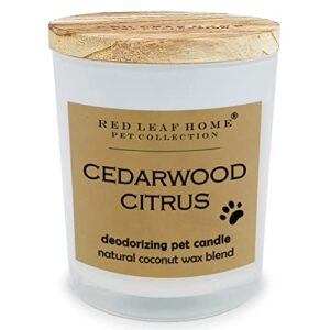 red leaf home | cedarwood citrus pet deodorizing jar candle | large | gift, perfect for dog & cat owners | contains deoboost | 15.5oz