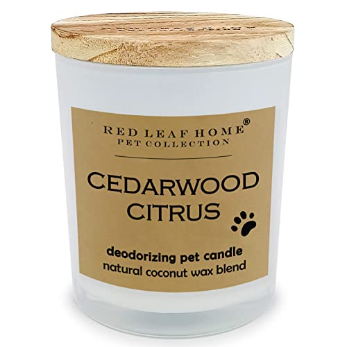 Red Leaf Home | Cedarwood Citrus Pet Deodorizing Jar Candle | Large | Gift, Perfect for Dog & Cat Owners | Contains DeoBoost | 15.5oz