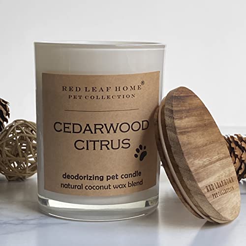 Red Leaf Home | Cedarwood Citrus Pet Deodorizing Jar Candle | Large | Gift, Perfect for Dog & Cat Owners | Contains DeoBoost | 15.5oz