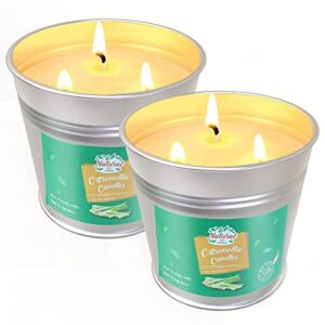 Citronella Candles Outdoor, Large 3 Wicks 20oz Natural Soy Wax Candles in Bucket for Porch Patio, 2 Packs