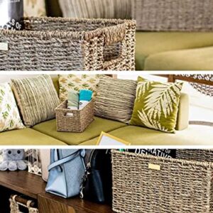 ADO Basics Seagrass Wicker Baskets for Organizing with Built-in Handles, Length 13", Width 8.3", Height 7.1", Set of 2