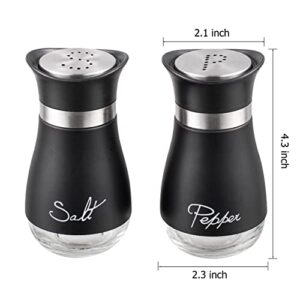 Salt and Pepper Shakers, Stainless Steel and Glass Bottle, Set of 2, Black